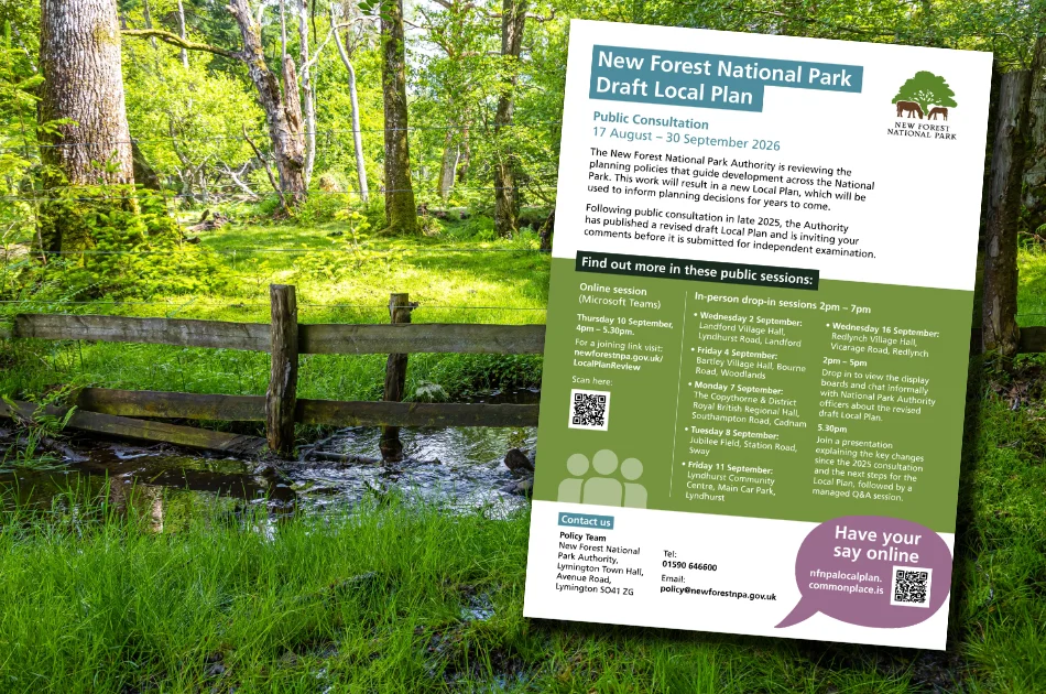 A sign about the New Forest National Park Draft Local Plan stands in front of a lush forest scene with a stream, grass, and trees in the background. The sign details public consultation dates and contact information.